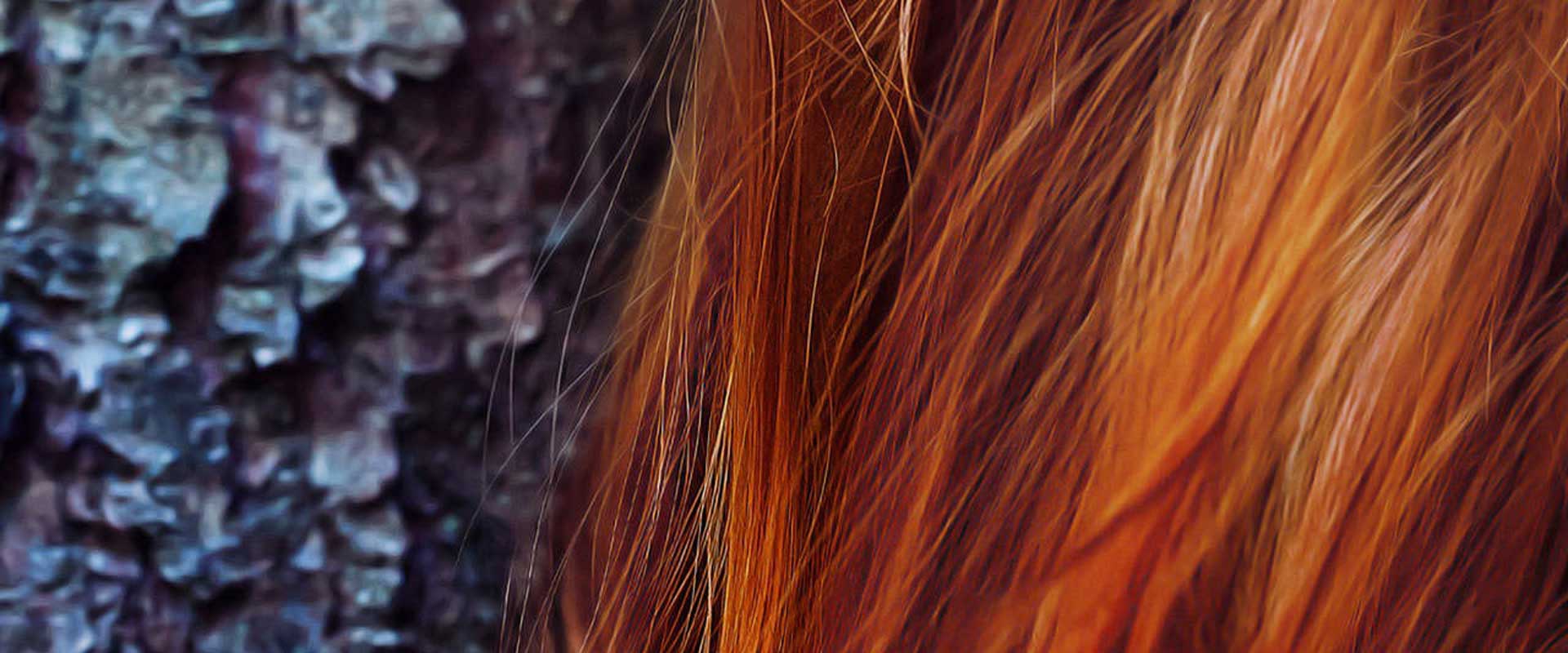 Colorazione capelli con henne